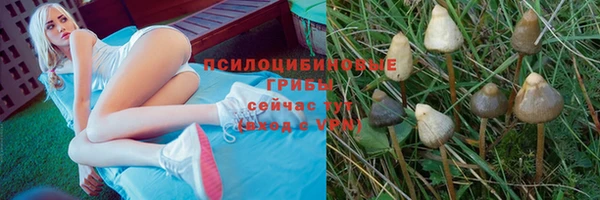 не бодяженный Лихославль