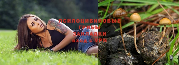скорость Лиски